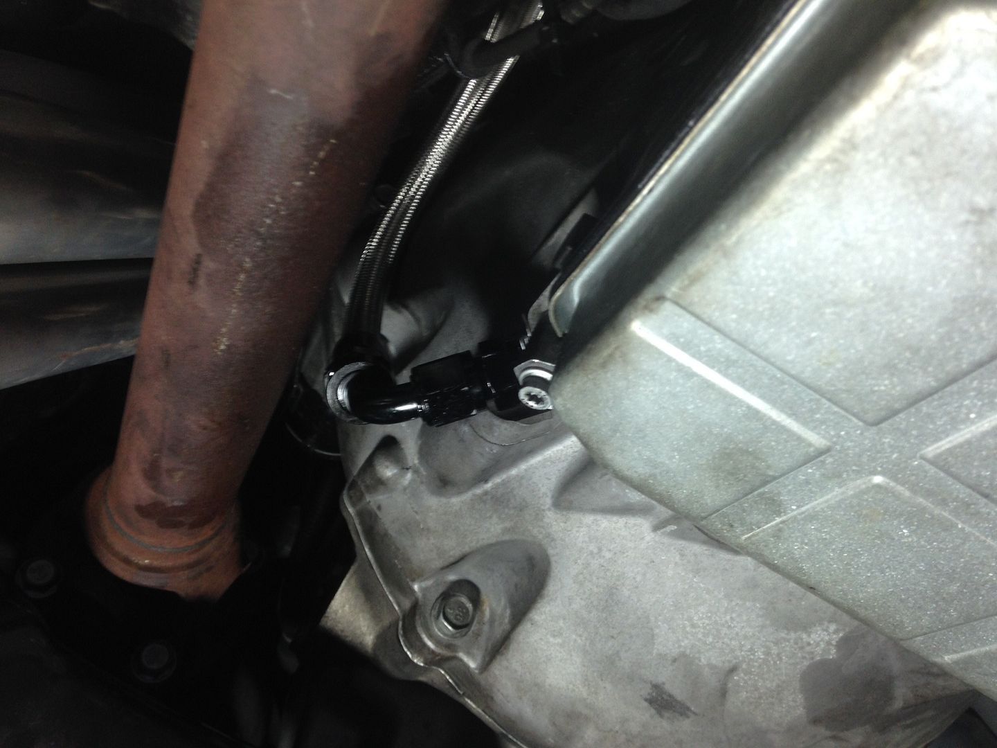 Earl's 90 Degree 3/8 NPT to #6 Sw. Earl's 90 Degree 3/8 NPT to #6 Sw.