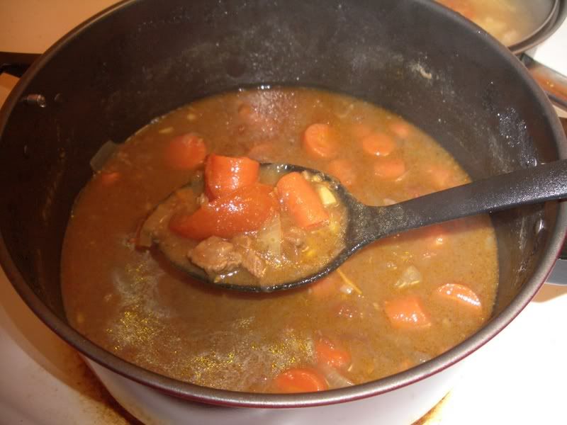 curry beef stew