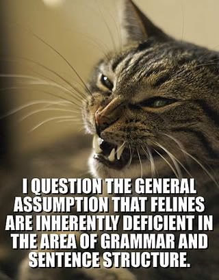 I question the general assumption that felines are inherently deficient in the area of grammar and sentence structure