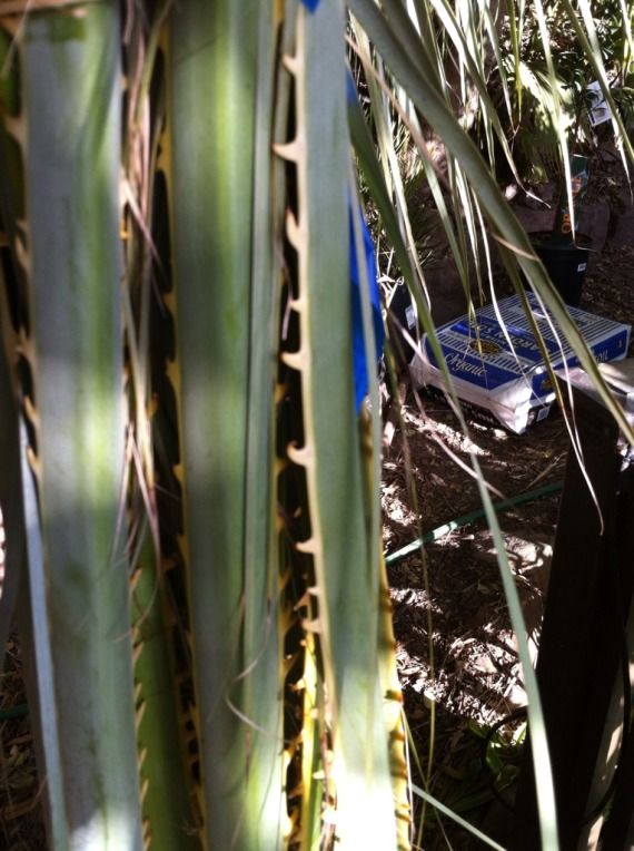 49108B82-DB4A-4568-992B-A2E641723FEE-890