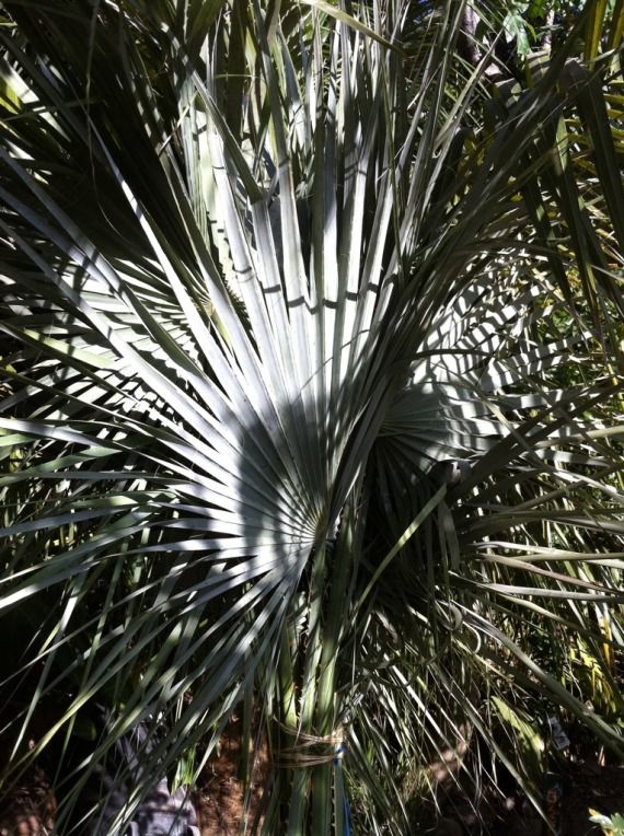 4D7BA193-EA91-47B2-BC5B-55CA2C3BEE44-890