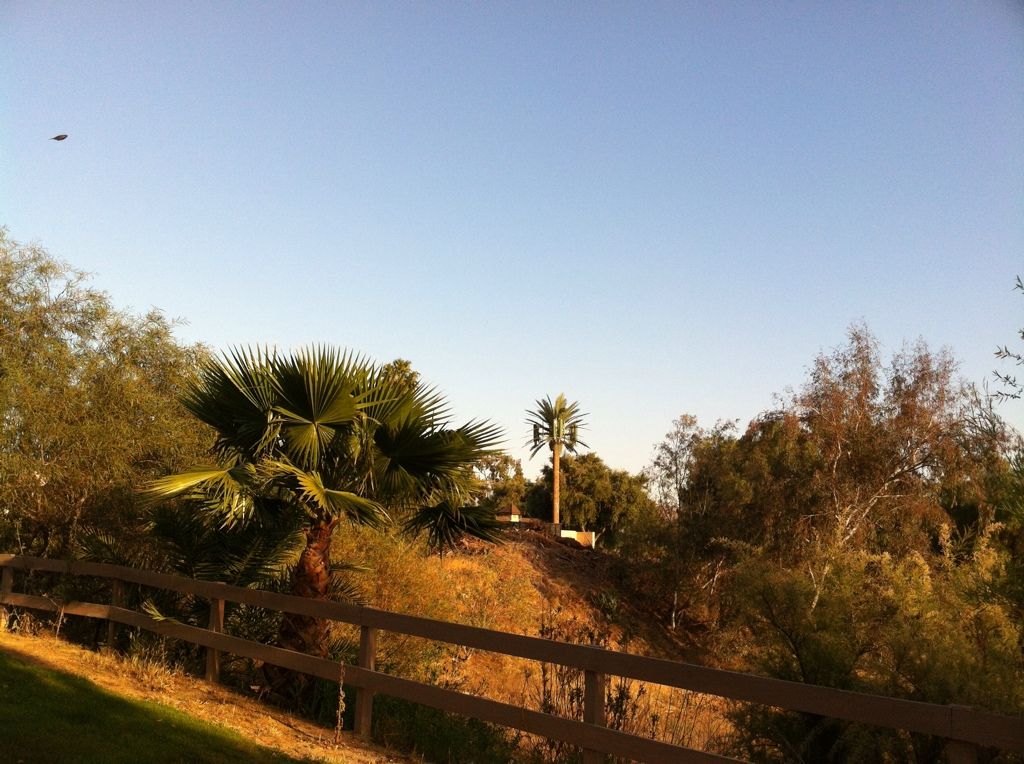 64DE9128-18C6-4AAE-95B3-374727DCFF0B-166