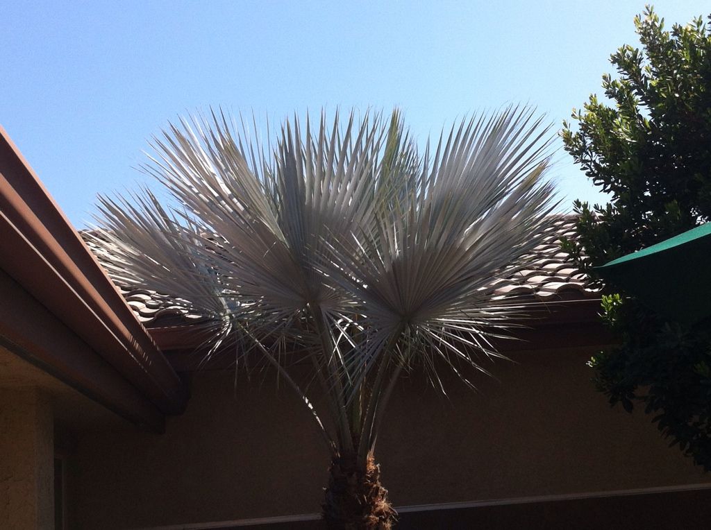 8CF9C9F6-7330-4888-8A9B-35AF5D219744-166