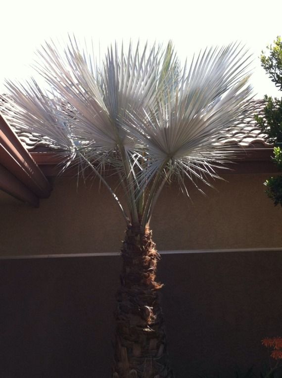 A969E13F-6A86-4C73-86B9-41A0D2309E8C-166