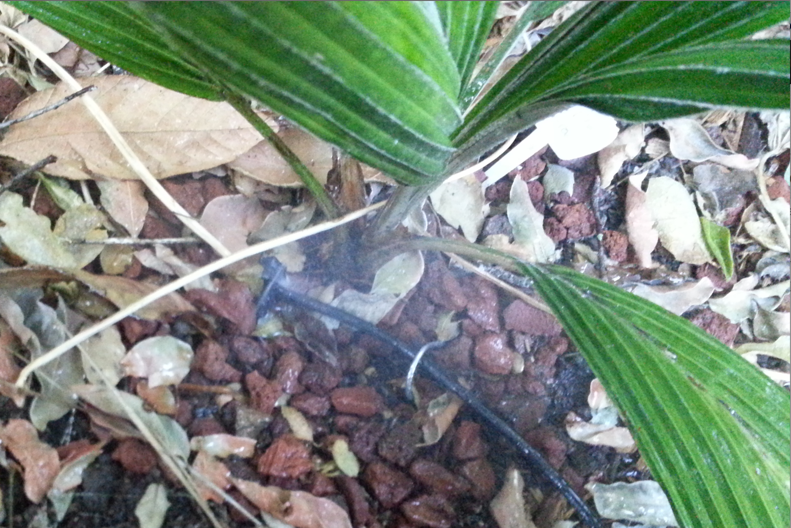 ScreenShot2014-06-08at92043AM_zps1d80a12