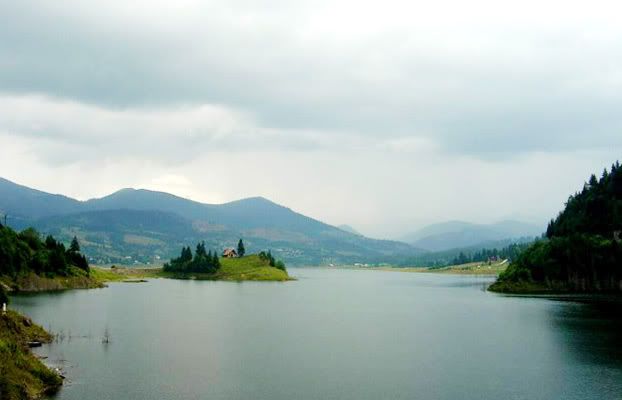 colibita-1.jpg image by cristinaelena