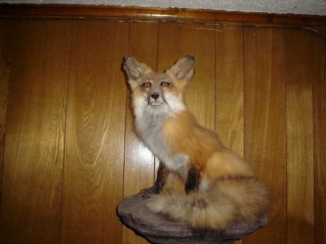 DSC00820.jpg