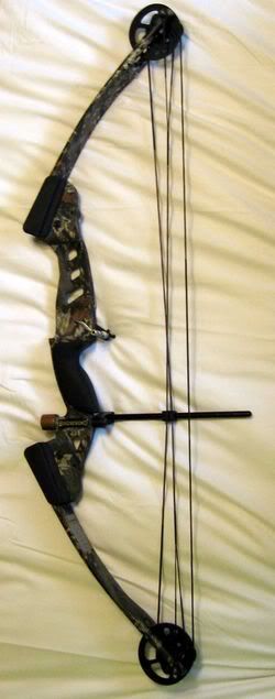 250px-Compound_Bow_full.jpg