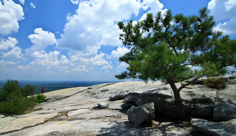 IMAGE: http://i105.photobucket.com/albums/m223/Jdmhoodz/IMG_2149-1.jpg