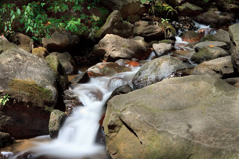 IMAGE: http://i105.photobucket.com/albums/m223/Jdmhoodz/IMG_5637-2.jpg