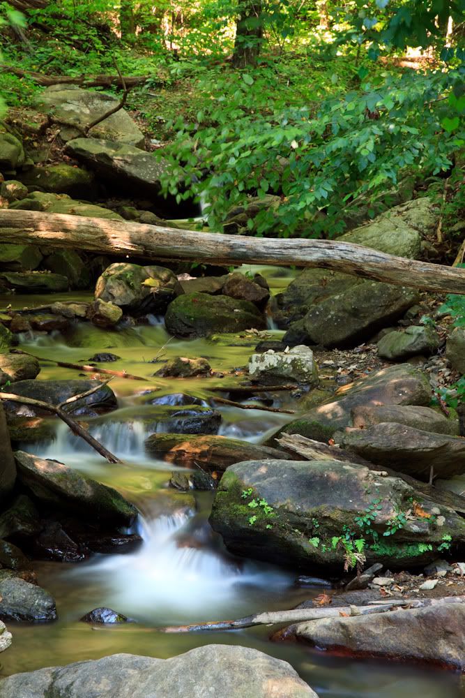 IMAGE: http://i105.photobucket.com/albums/m223/Jdmhoodz/IMG_5657-1.jpg