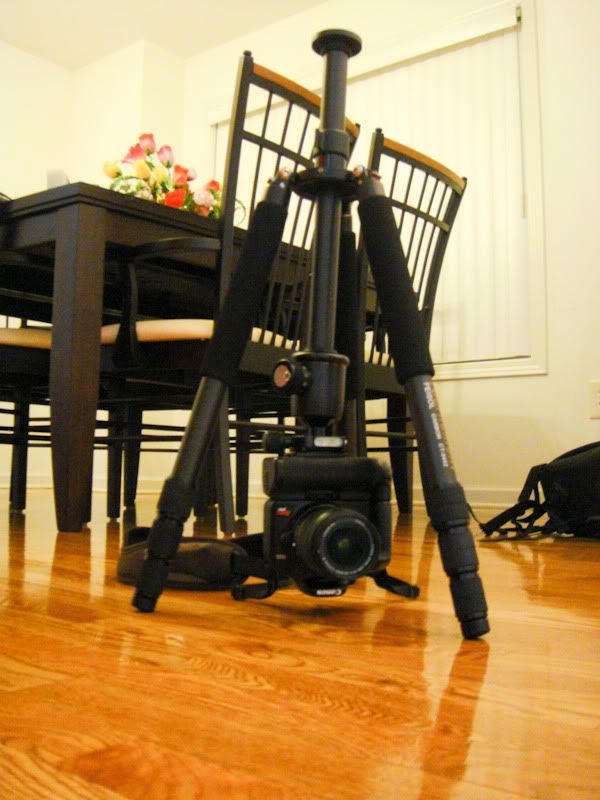 IMAGE: http://i105.photobucket.com/albums/m223/Jdmhoodz/Tripod/DSC01038.jpg