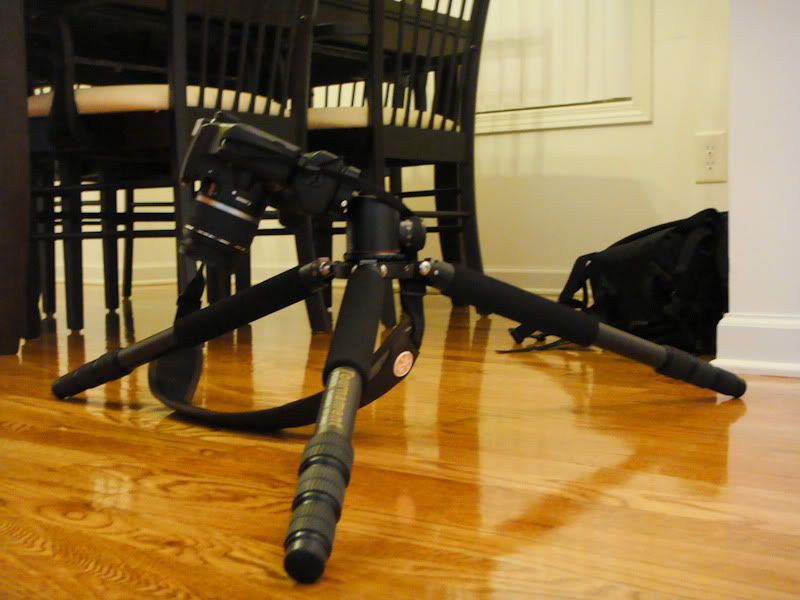 IMAGE: http://i105.photobucket.com/albums/m223/Jdmhoodz/Tripod/DSC01039.jpg