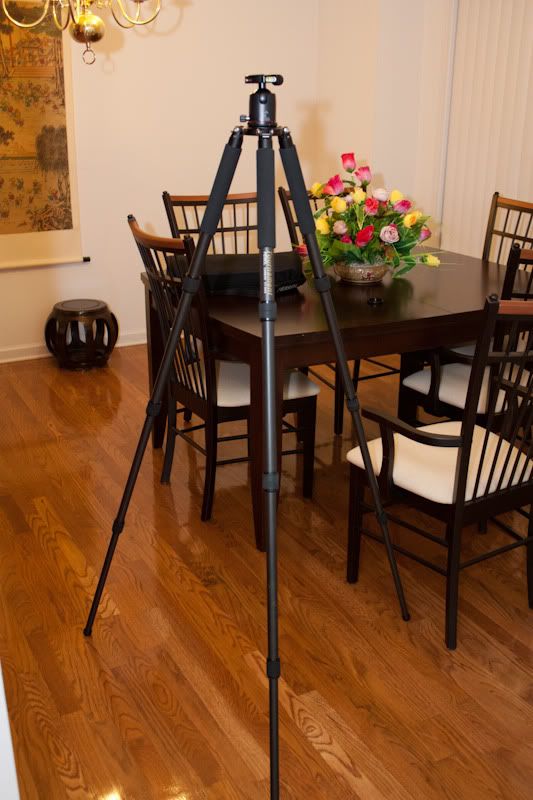 IMAGE: http://i105.photobucket.com/albums/m223/Jdmhoodz/Tripod/IMG_2151.jpg