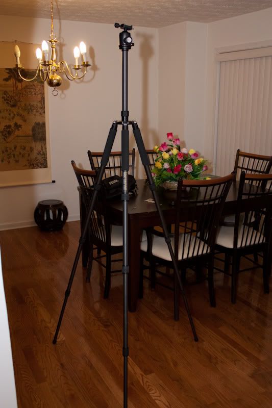 IMAGE: http://i105.photobucket.com/albums/m223/Jdmhoodz/Tripod/IMG_2153.jpg