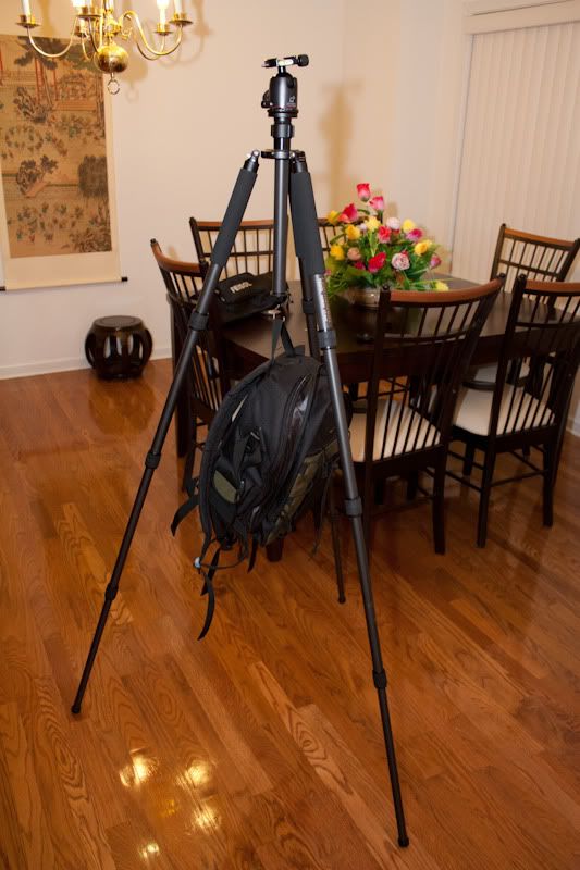 IMAGE: http://i105.photobucket.com/albums/m223/Jdmhoodz/Tripod/IMG_2155.jpg