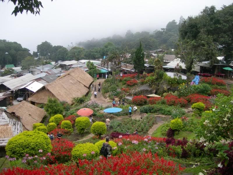 DSCN2586.jpg