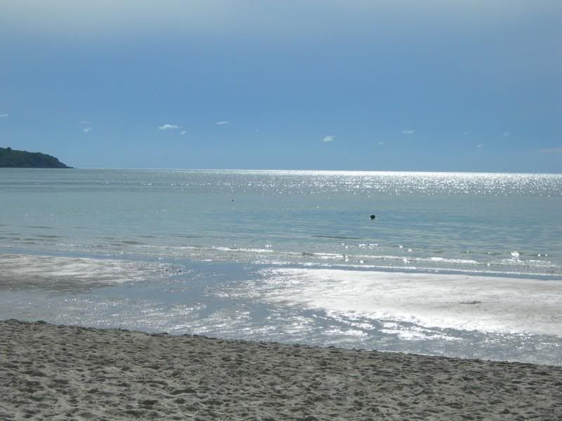 DSCN3042.jpg