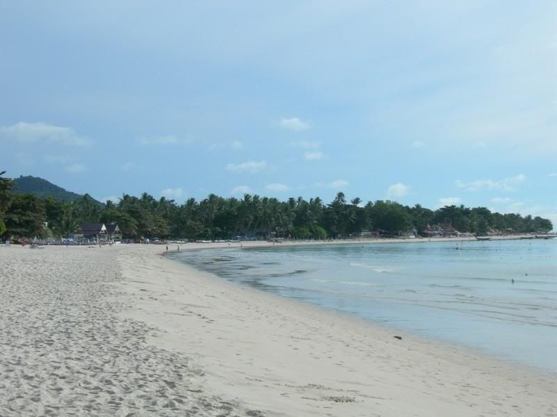 DSCN3061.jpg