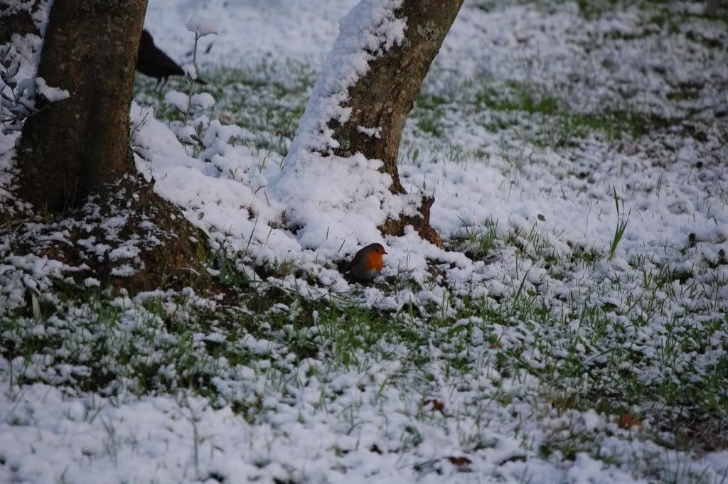 DSC_0053.jpg