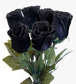 6 blackroses