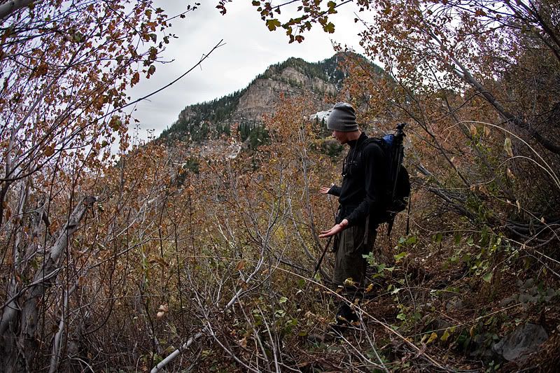 neil provo,mt. timponogos