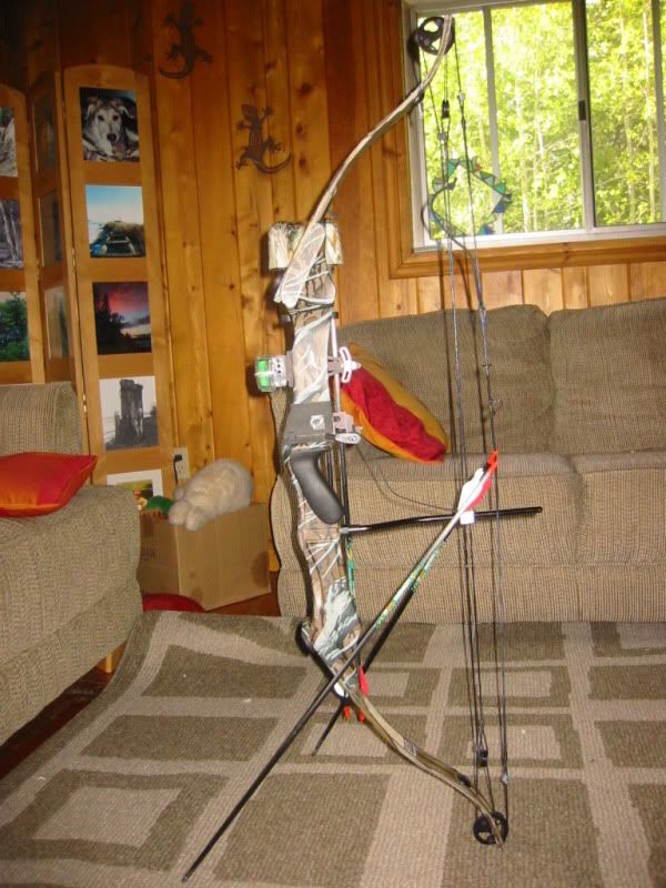 What type of bow is this? Archery Talk Forum