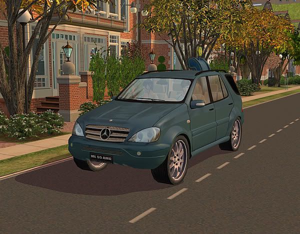 dop-12.jpg