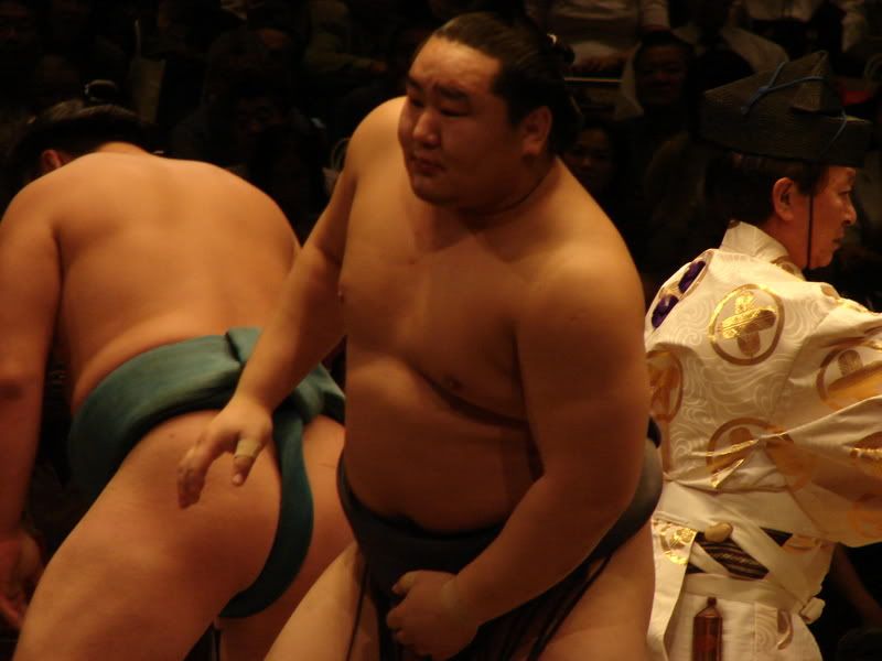 shoryuhakuho-1.jpg
