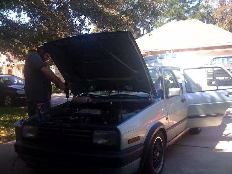 Calypso Green and Raceland Coilover content inside VW Vortex