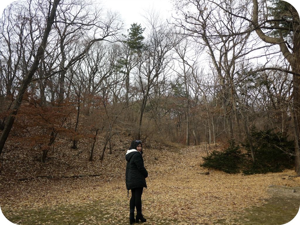 photo c_zpsqm5ljkbp.jpg