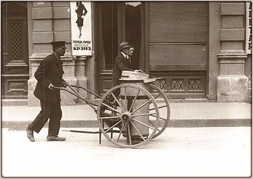[Image: cistaculice.jpg]