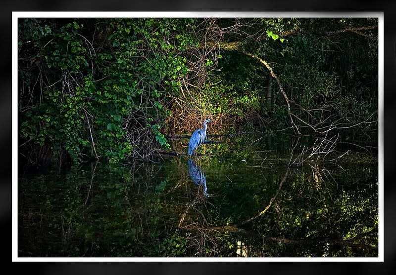 IMAGE: http://i105.photobucket.com/albums/m235/nothingisworking/1-1.jpg