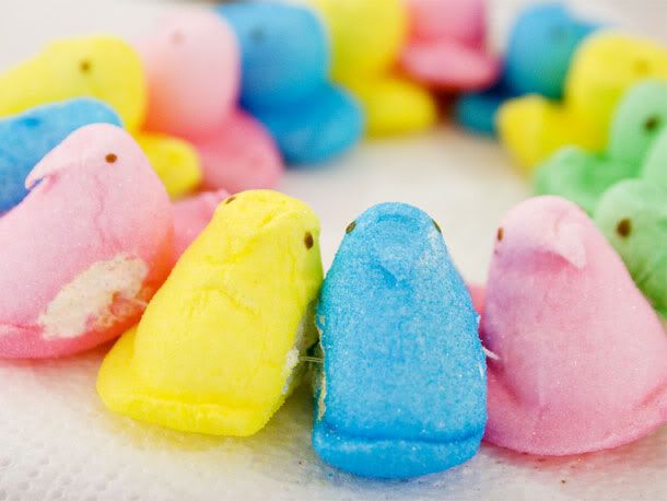Fluffy Marshmallow Bunnies Pictures, Images and Photos