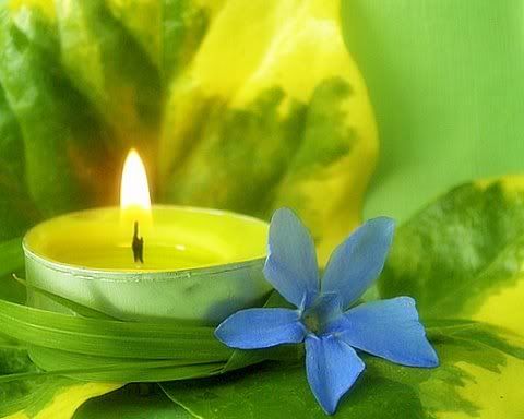 candle with flowers photo: Green Candle with Blue Iris image00111.jpg