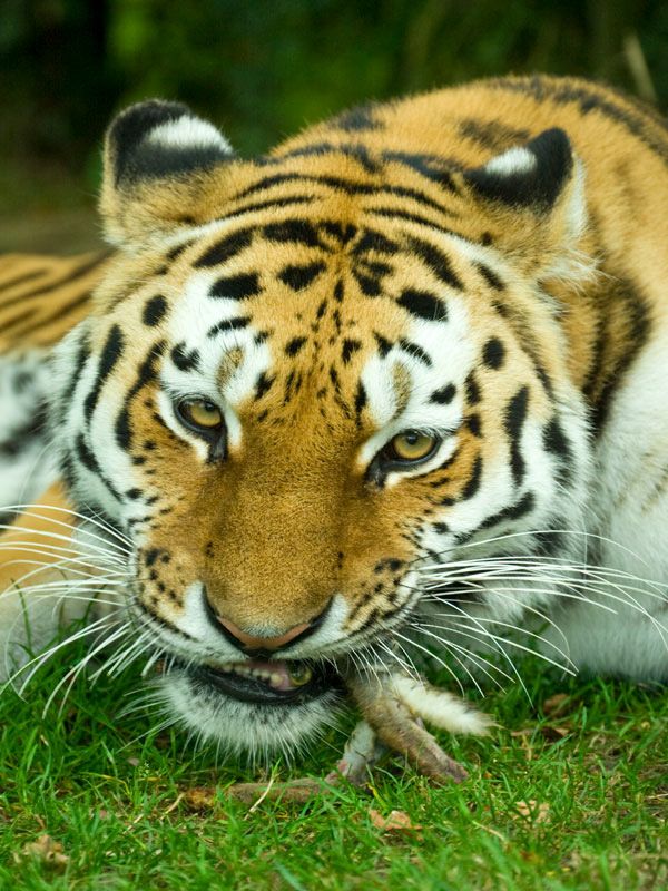 IMAGE: http://i105.photobucket.com/albums/m237/rayk57/4.jpg