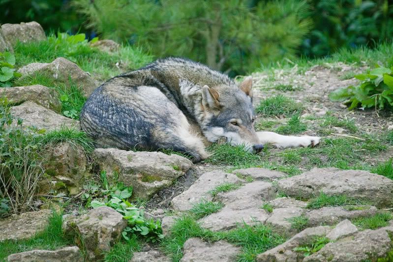 IMAGE: http://i105.photobucket.com/albums/m237/rayk57/PWP-April-2010-109.jpg 