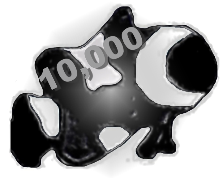 Posted Image