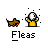 th_fleas.gif