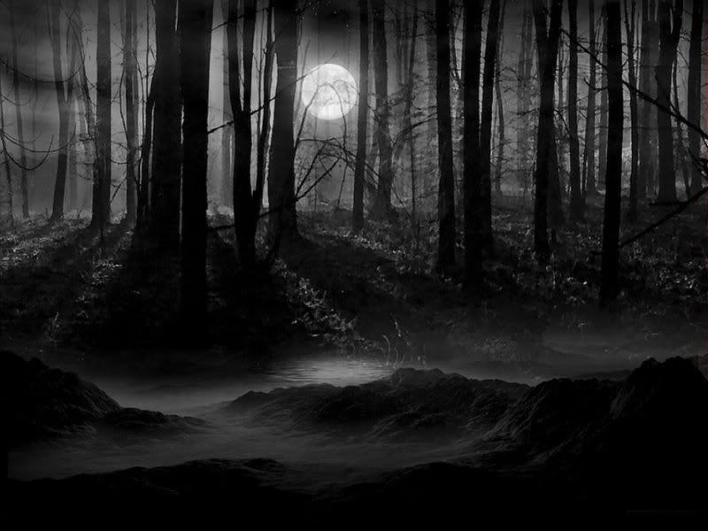wallpaper dark forest. 2.0 and Backgrounds