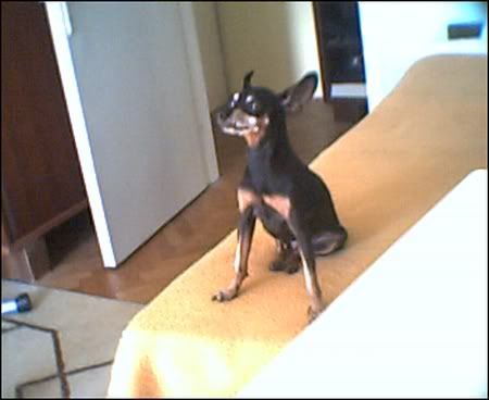 Photo Sharing and Video Hosting at Photobucket