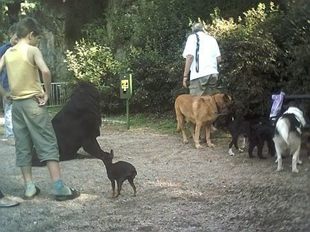 Photo Sharing and Video Hosting at Photobucket