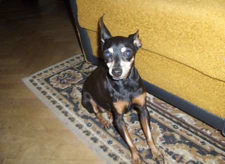 Photo Sharing and Video Hosting at Photobucket