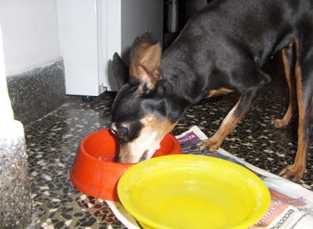 Photo Sharing and Video Hosting at Photobucket