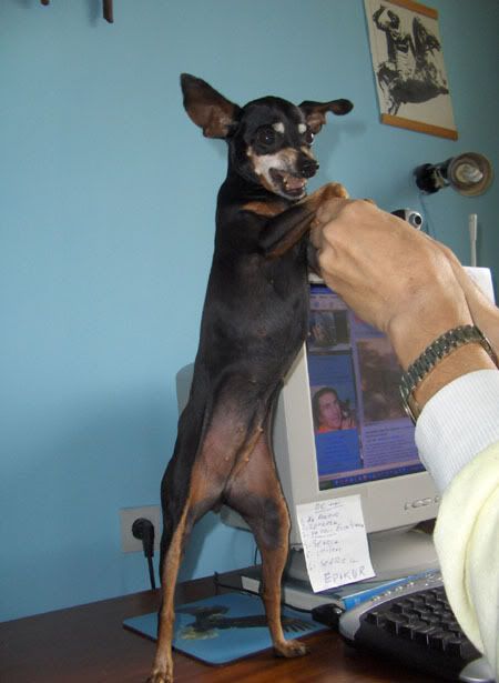 Photo Sharing and Video Hosting at Photobucket