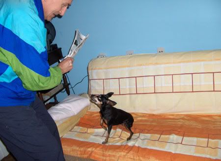 Photo Sharing and Video Hosting at Photobucket