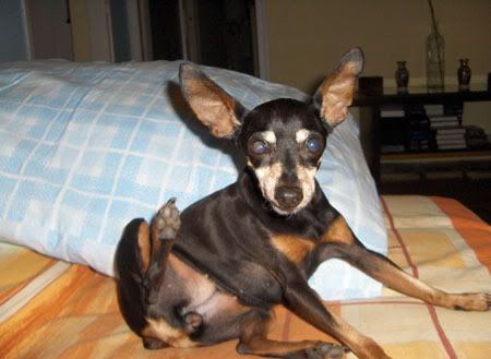 Photo Sharing and Video Hosting at Photobucket