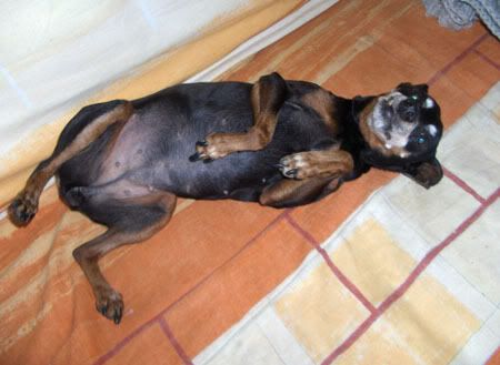 Photo Sharing and Video Hosting at Photobucket