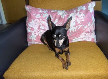 Photo Sharing and Video Hosting at Photobucket