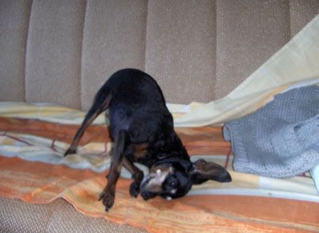 Photo Sharing and Video Hosting at Photobucket